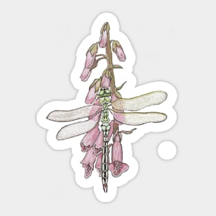 Dragonfly on Foxglove Sticker